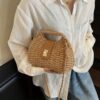 Chic Mini Crossbody Bag Everyday Essential Handbag