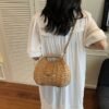 Chic Mini Crossbody Bag Everyday Essential Handbag